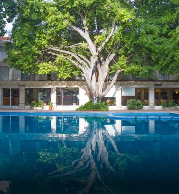 Buen Fin: Business and relaxation in one place Viva Villahermosa Hotel Buen Fin: Business and relaxation in one place Viva Villahermosa Hotel